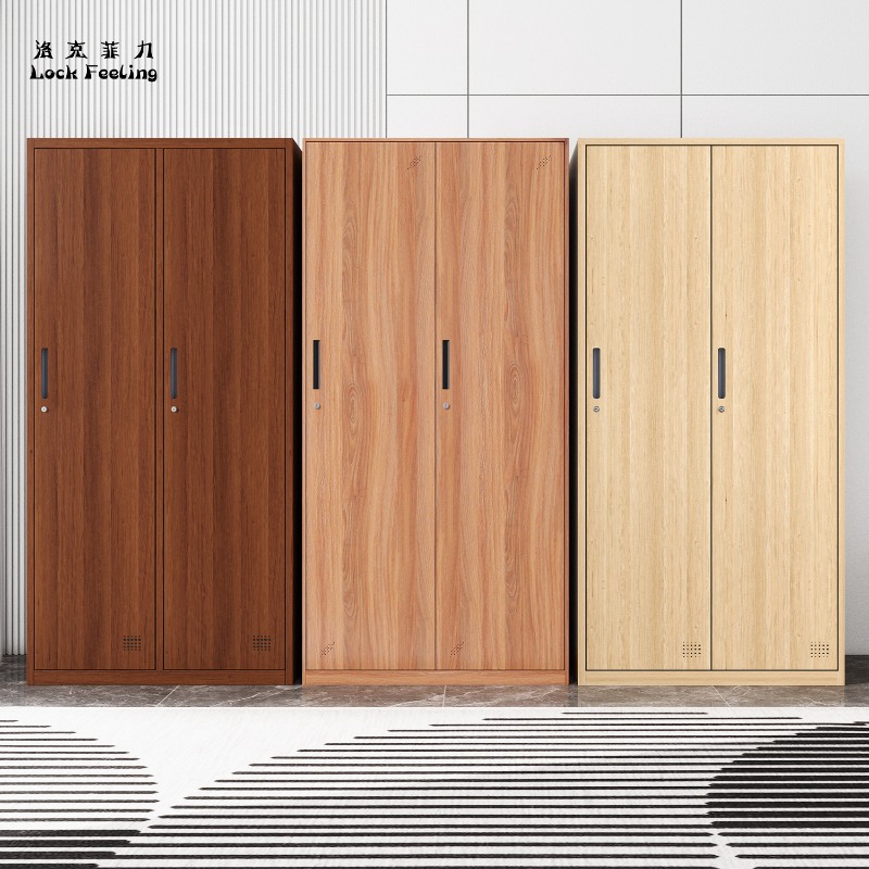 Home Gym In A Box - 직원 사물함, 기숙사, 철제 옷장, 가정용