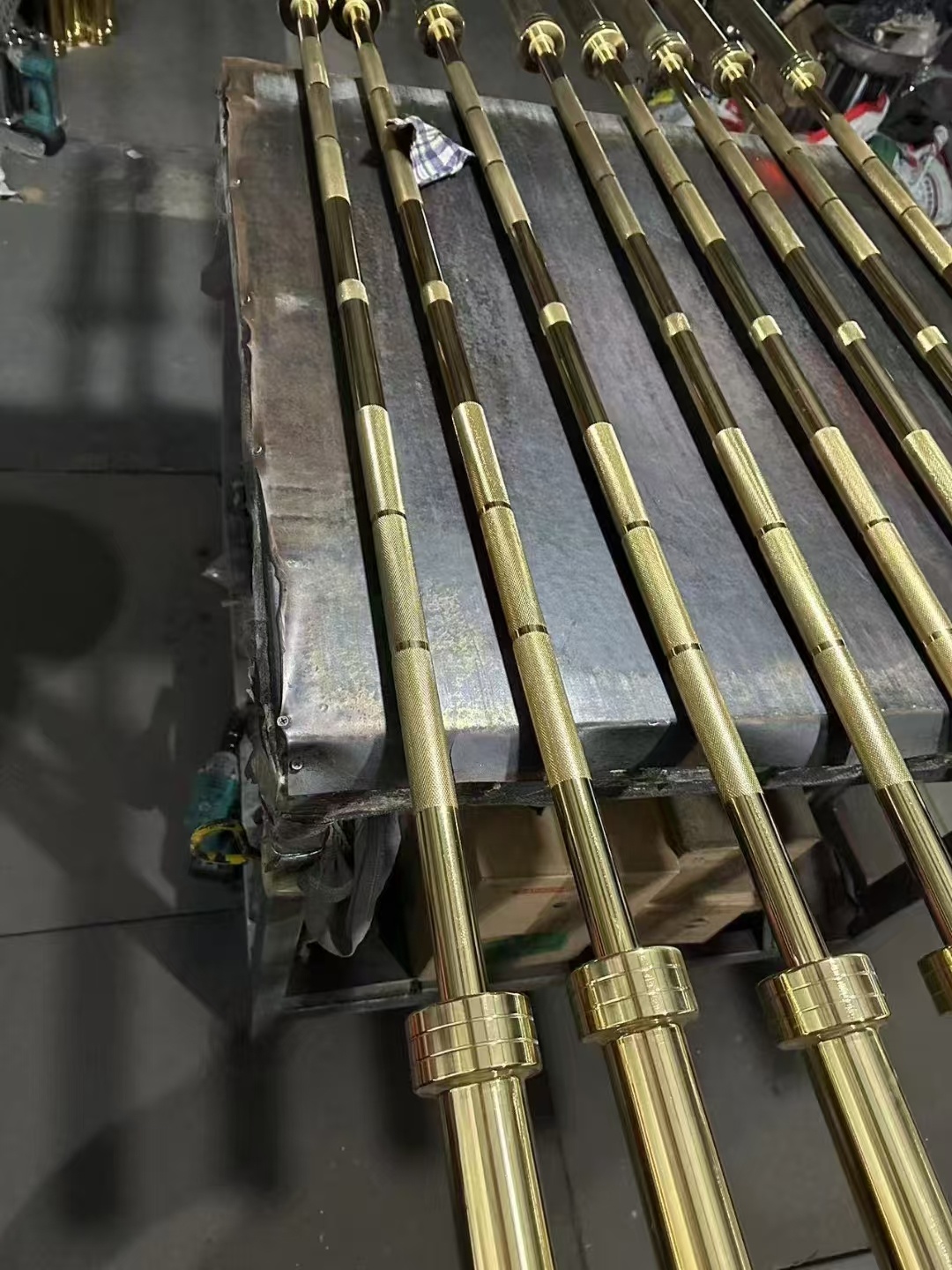 Barbell Curl Bar - 20kg 철제 바벨 바, 헬스장 훈련