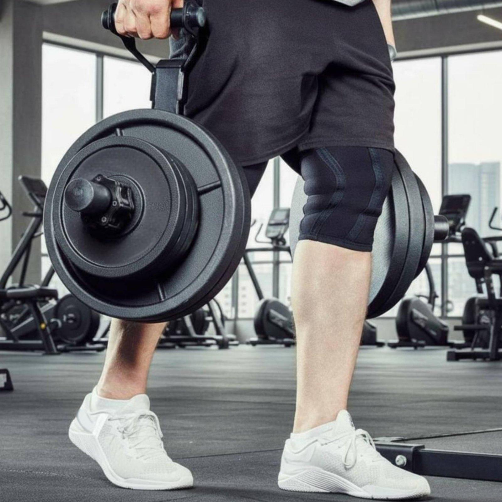 다양한 크기의 바벨 플레이트 홀더 정리대, 가정 및 상 - Fitness Home Gym Equipment 리뷰 및 가격