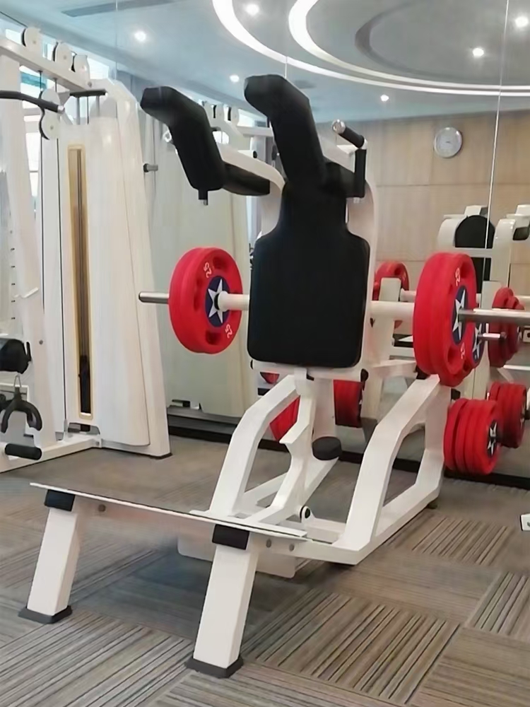 수직 해크 스쿼트 머신 XC-845 다리 운동기구 쿼드 - Home Gym Quad 리뷰 및 가격