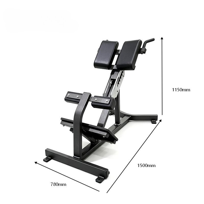 빅핏 로만 체어 백 익스텐션 하이퍼 익스텐션 머신-다기 - Home Gym In A Box 리뷰 및 가격