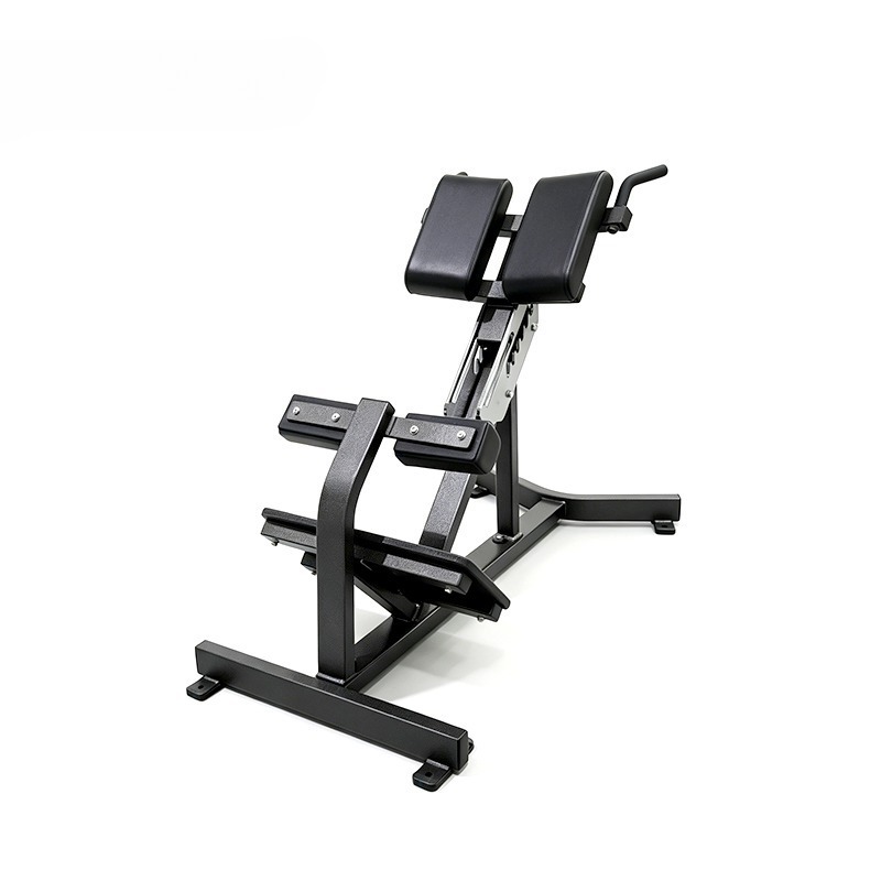 빅핏 로만 체어 백 익스텐션 하이퍼 익스텐션 머신-다기 - Home Gym In A Box 리뷰 및 가격