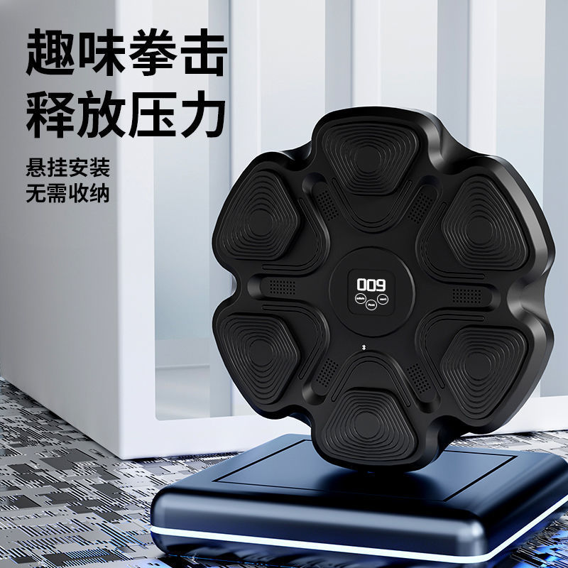 2026년형 지능형 홈짐 복싱 트레이닝 머신 벽걸이형  - Home Gym Wall 리뷰 및 가격