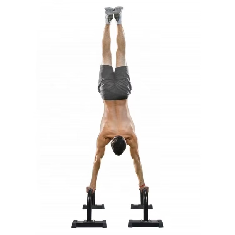 패럴렛 푸쉬업 바, 푸쉬업 스탠드, 패럴렛 바, 패럴렛 - Push Up Stand Bar 리뷰 및 가격