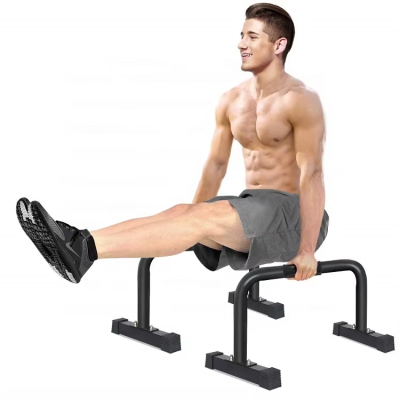패럴렛 푸쉬업 바, 푸쉬업 스탠드, 패럴렛 바, 패럴렛 - Push Up Stand Bar 리뷰 및 가격